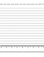 Ruler-Measurement--Landscape--Wide-Rule