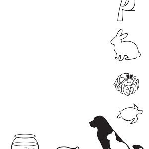 Pets 2 Blank. pdf