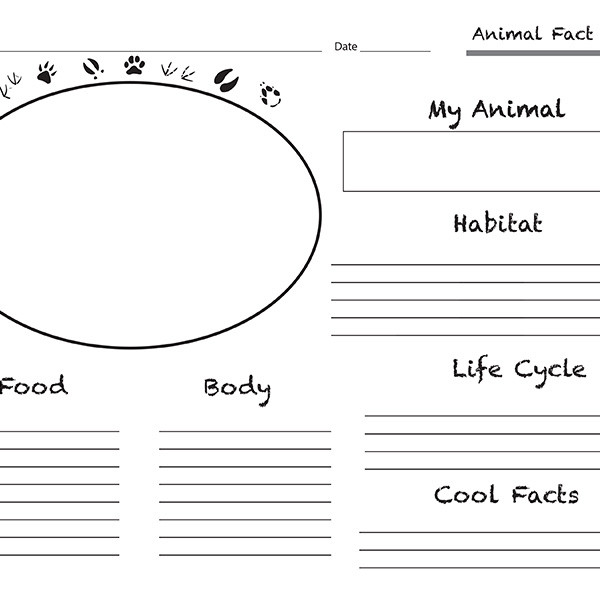 Animal Fact Sheet Collegeai