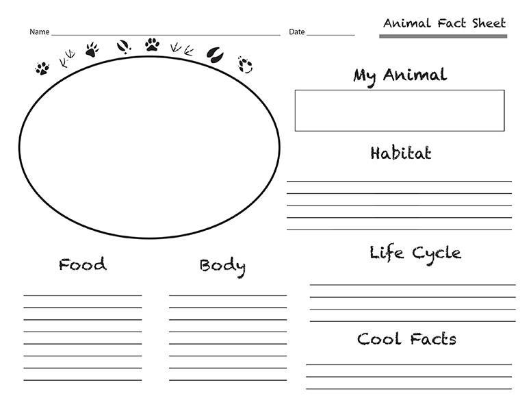 Printable Animal Fact Sheet Template