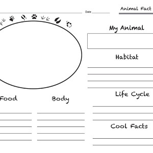 Animal Fact Sheet Wide