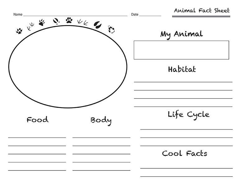 Animal Fact Sheet Wide Teacher Clipart Borders