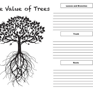 The value of trees College