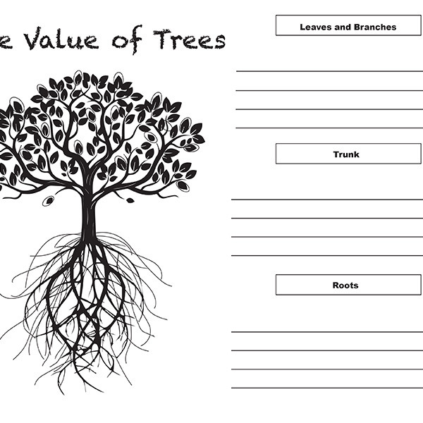 The value of trees Wide