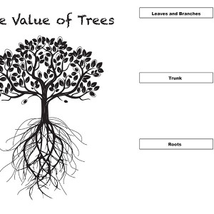 The value of trees blank